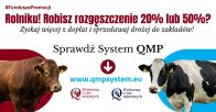 Na prośbę Polskiego Zrzeszenia Producentów Bydła Mięsnego przekazujemy informację o systemie QMP. 